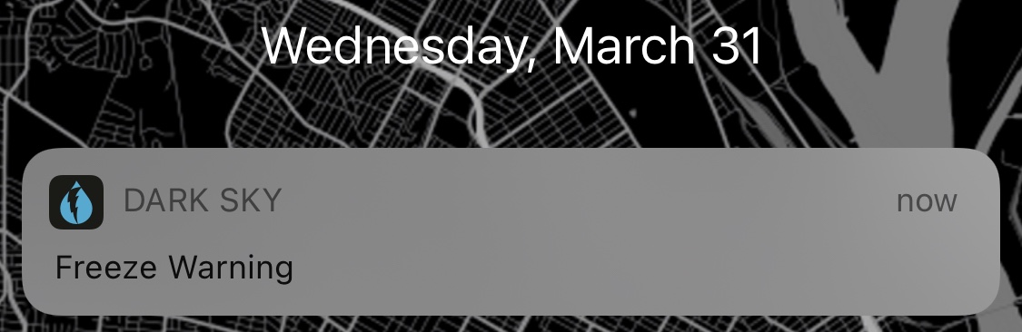 A screenshot showing the date, March 31, and a weather alert of a freeze warning  