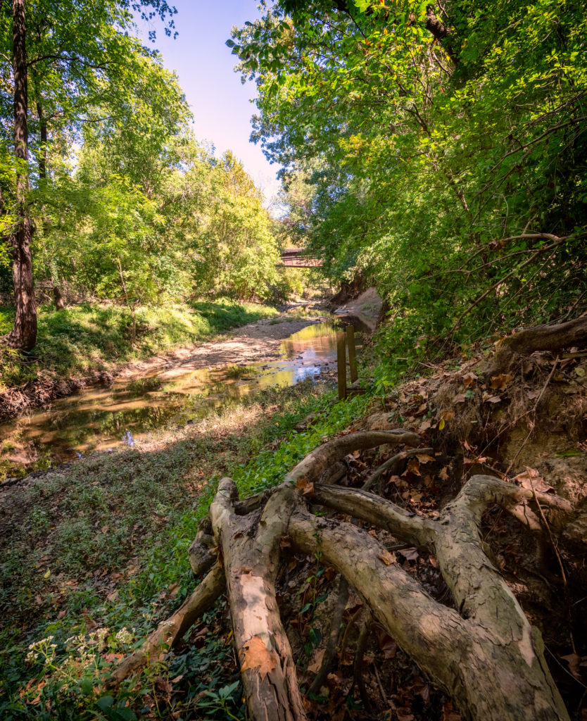 A small creek runs from the lower left, vanishing into the middle of the photo. Trees with green leaves are on both sides. A small part of a train bridge is visible high over the creek in the distance. In the foreground there is a tangle of large tree roots poking out of the hillside.